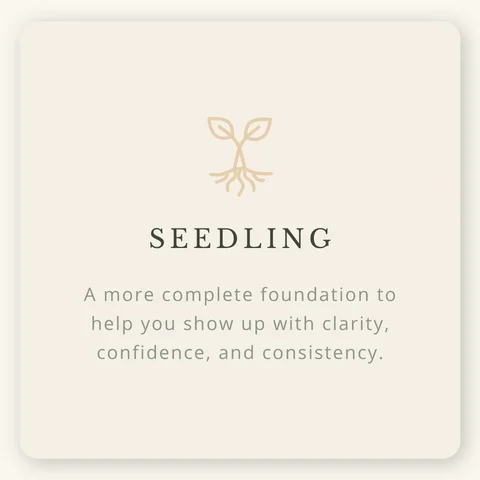 Seedling package card featuring a growing plant icon and text describing a complete foundation for brand clarity, confidence and consistency