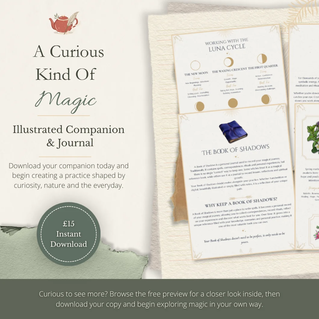 A Curious Kind of Magic | Illustrated Witchcraft Companion & Journal - Image 3
