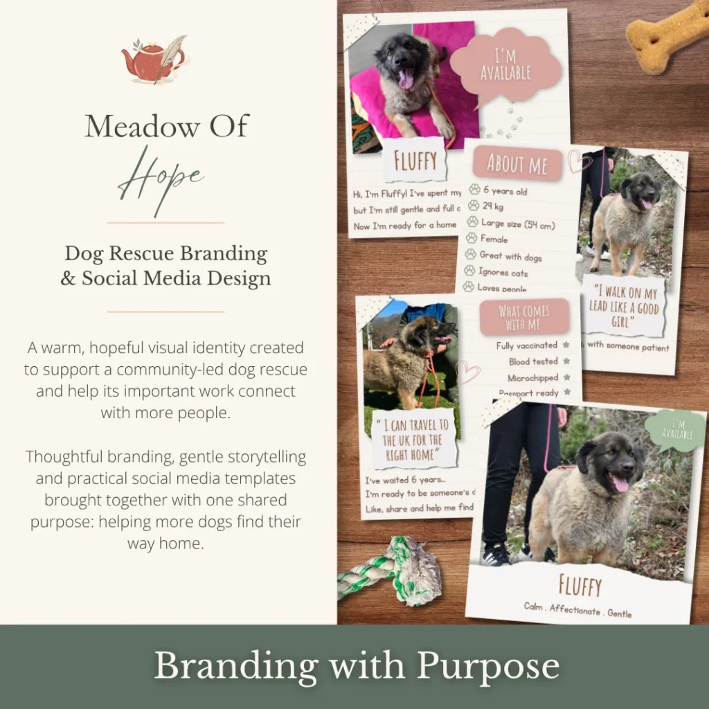 Meadow of Hope dog rescue branding project featuring warm, hopeful social media designs created to help rescue dog Fluffy find a home.